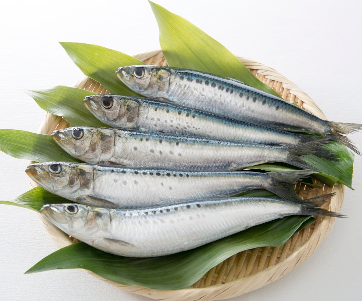 Sardines 1 Kg
