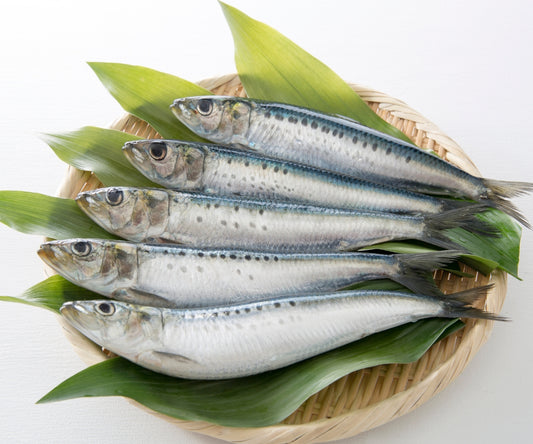 Sardines 1 Kg