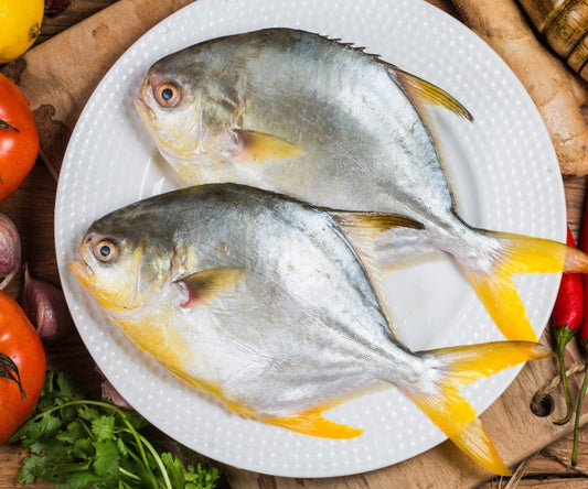 Golden Pomfret (1 Kg)